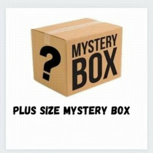 Women’s Seasonal Mystery Box Plus Size Clothing Variety Bundle